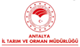 anta